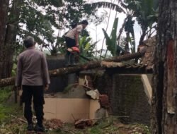 Pohon Tumbang Timpa Mushola di Cisayong, Kapolsek Turun Langsung ke Lokasi