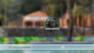 Nimo Jungle Hotspring, destinasi wisata terbaru ini menghadirkan pengalaman berendam di air panas belerang yang menyegarkan tubuh. Foto by: Kondusif