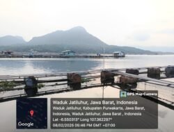 KKP Peringatkan Ancaman Kematian Ikan Massal di Waduk Jatiluhur, Kerugian Capai Rp 2,2 Miliar