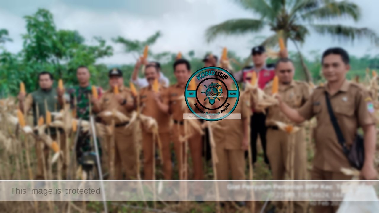 Gebang Kapal Bantu Petani Ciamis dengan Beragam Fasilitas (foto:istimewa) Gebang Kapal Bantu Petani Ciamis dengan Beragam Fasilitas (foto:istimewa)