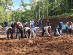 Dukung Ketahanan Pangan, Polsek Ciamis Tanam Jagung Bersama Warga