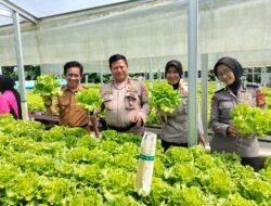 Polsek Ciamis Gelar Launching Program Pekarangan Pangan Lestari untuk Ketahanan Pangan Nasional
