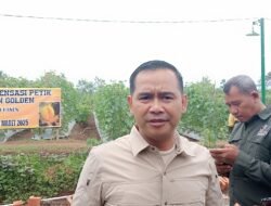 Panas! Siapa Wakil Bupati Ciamis? RABN Dukung H. Tatang