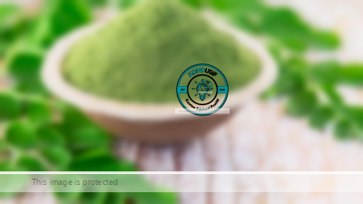 Mengungkap Keajaiban Daun Kelor: Dari Radikal Bebas Hingga Kesehatan Otak