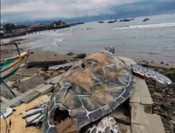 Patung Kura-Kura Diduga Kardus, Warganet Soroti Anggaran Rp 15,6 M
