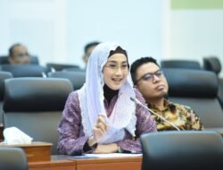 Revisi UU TNI: Desy Ratnasari Soroti Human Security dan Risiko Loyalitas Ganda