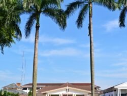 Pemkot Bogor Tak Ikut Arahan Dedi Mulyadi, Jam Kerja ASN Selama Ramadhan