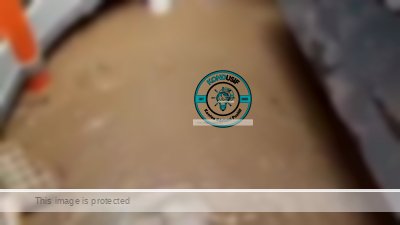 Banjir Bekasi, Lumpuhkan Mall dan Rumah Sakit