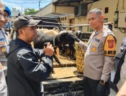 Sigap Tangani Pencurian, Polres Ciamis Kembalikan Domba Warga Tanpa Biaya Sepeserpun