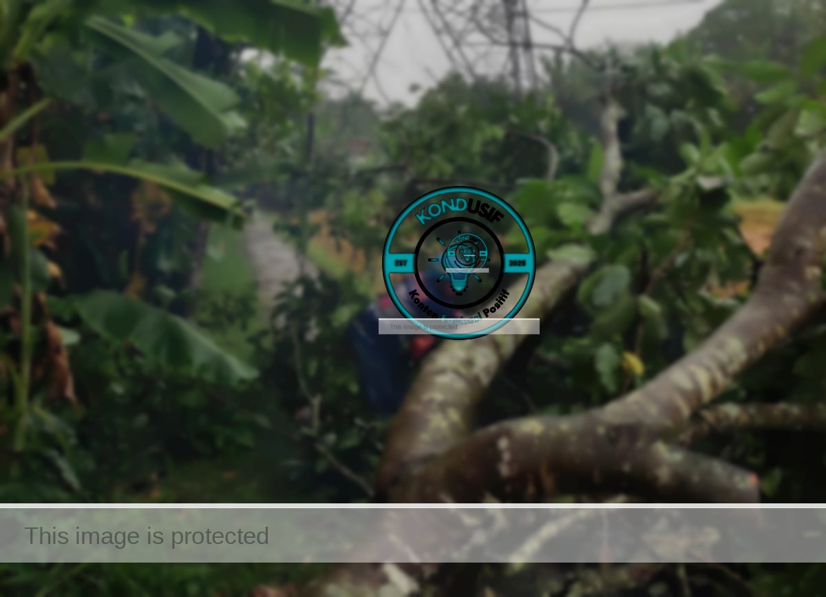 Puting Beliung Landa Purwadadi Ciamis, 18 Rumah Rusak dan Pohon Bertumbangan