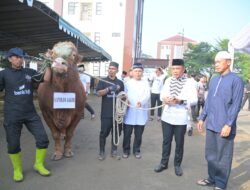 Kapolda Jabar Sumbang Sapi Limosin untuk Qurban Pesantren dan Kaum Dhuafa