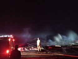 Kebakaran Hebat Ludeskan Dua Kandang Ayam Bagus Farm di Cikoneng, Ciamis