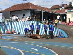 Bukan Uji Motor, Tapi Uji Ikhlas: Tempat Uji SIM Polres Ciamis Jadi Lokasi Sembelih Sapi