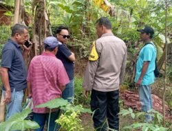 Warga Dikejutkan Penemuan Mayat Terkelungkup di Kebun Pamalayan, Polisi: Korban Punya Riwayat Penyakit
