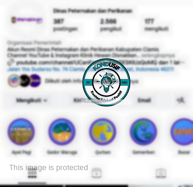 Akun Instagram Disnakkan Ciamis Diretas