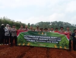Polsek Tamansari dan ACB Khasiba Tanam Jagung Hibrida Dukung Program Asta Cita