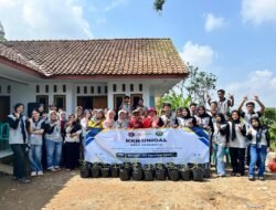 Mahasiswa KKN Universitas Galuh Ajak Warga Sadewata Budidaya Tanaman Obat di Polybag
