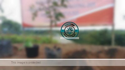 Kolaborasi Lintas Elemen, 2025 Pohon Tumbuhkan Harapan Baru di Bendungan Leuwikeris