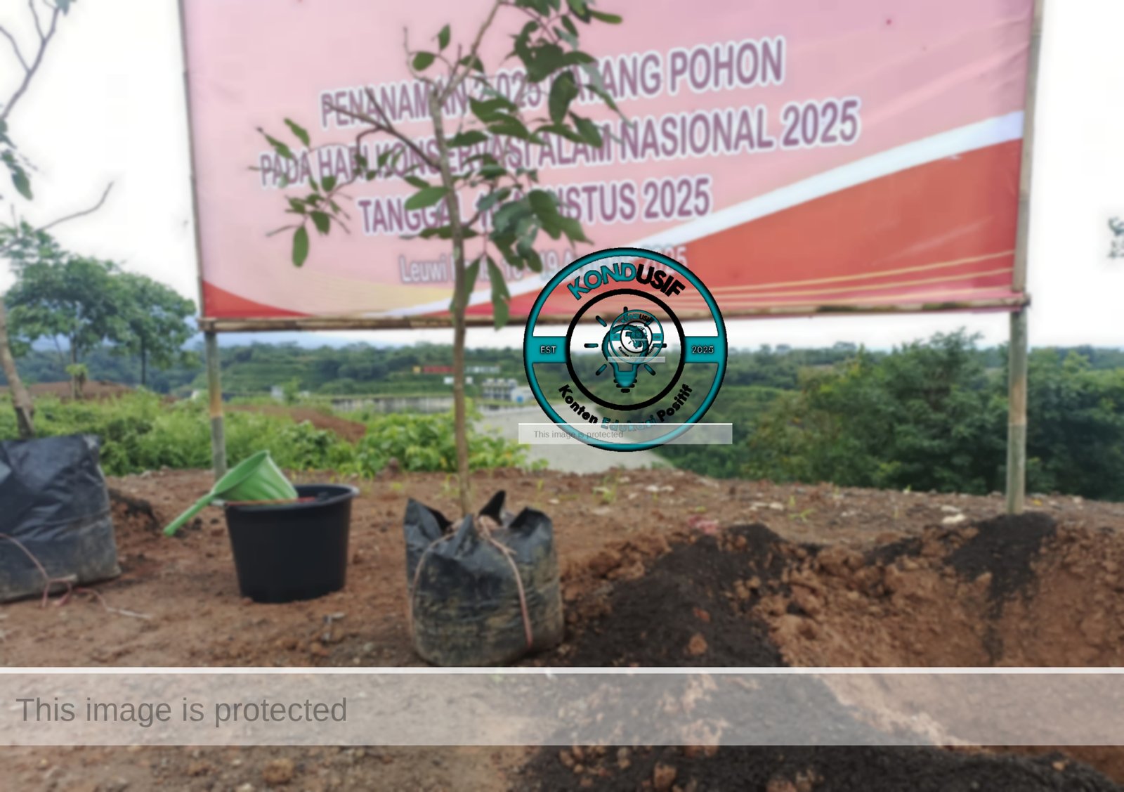 Penanaman 2025 bibit pohon disekitar Bendungan Leuwikeris