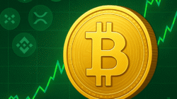 Pasar Kripto Menggeliat: Bitcoin Sentuh Rp 1,91 Miliar, Investor Mengatur Nafas di Tengah Euforia