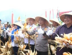 Dukung Ketahanan Pangan, Polda Jabar Tanam Jagung Hingga 500 Hektare di Garut