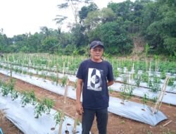 Desa Madiasari Alokasikan 20 Persen Dana Desa 2025 untuk Program Ketahanan Pangan