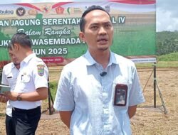 Bulog Ciamis Pastikan Harga Jagung Stabil, Siapkan Kapasitas Gudang 1.600 Ton