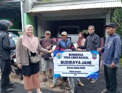 Bumdesa Tiga Lima Dorong Swasembada Melalui Budidaya Jahe