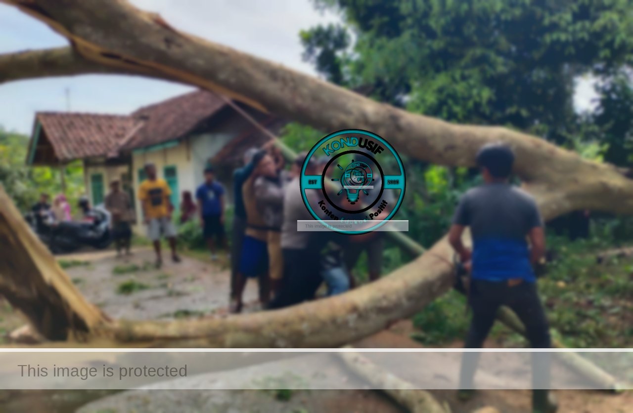Polsek Kawali evakuasi pohon tumbang