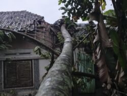 Cuaca Ekstrem di Ciamis, Angin Puting Beliung Hantam Sindangkasih