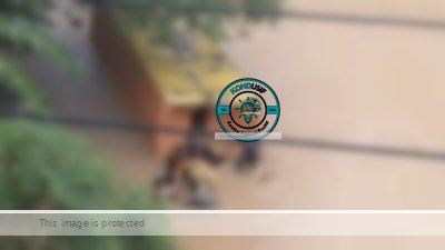 Keterangan foto : truk pengangkut paket tergelincir di sungai Cimuntur lama Ciamis (foto : tangkapan layar video net)