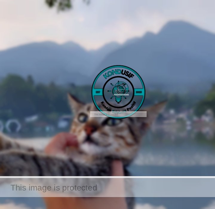 Dok: Fikri/pengunjung situ tamansari bogor