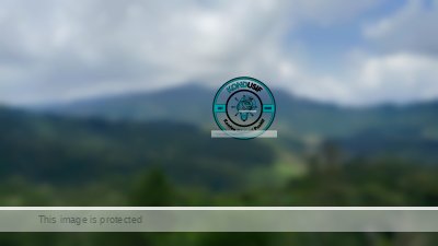 Puncak Pinus Kertajaya, Destinasi Murah Meriah dengan View Menggoda di Panawangan