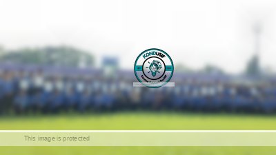 Stadion Galuh Membiru, 3.554 PPPK Paruh Waktu Ciamis Resmi Terima SK