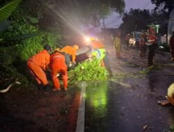 Gercep! Polsek Cijeungjing Evakuasi Pohon Tumbang yang Timpa Penggilingan Padi