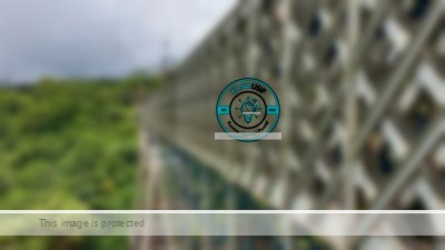 Definisi ‘Tua-Tua Keladi’: Makin Berumur, Jembatan Cirahong Makin Ikonik!