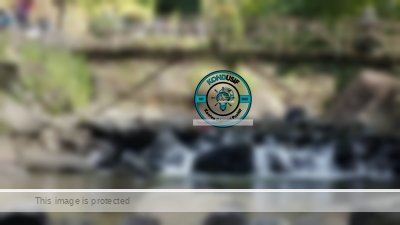 Lupakan Mall! Cireong Park Ciamis Punya ‘Sungai Kristal’ yang Bikin Kamu Lupa Jalan Pulang