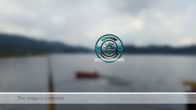 Hidden Story di Balik Tenangnya Air Situ Lengkong: Destinasi Akhir Tahun Paling Syahdu