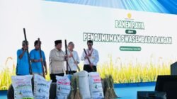 Indonesia Cetak Rekor, Swasembada Pangan Tercapai 3 Tahun Lebih Cepat