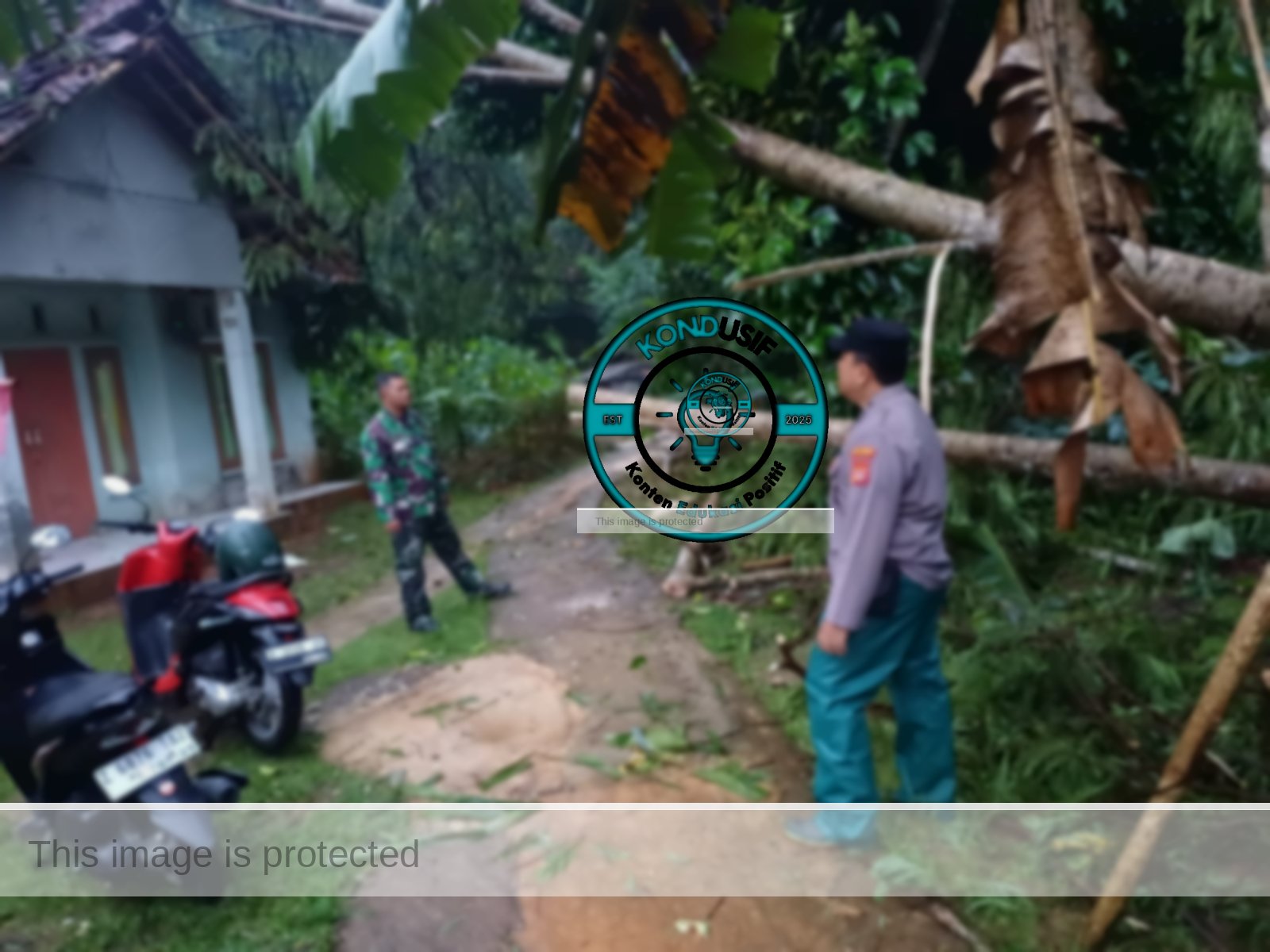 Polsek Ciamis Evakuasi Pohon Tumbang