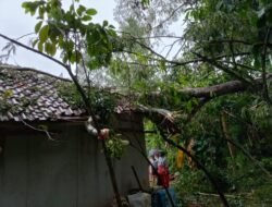 Ringankan Beban Warga, Personel Polsek Ciamis Berjibaku Bersihkan Pohon Tumbang di Sadananya