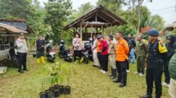 Aksi Nyata Cegah Longsor, Polsek Cikoneng dan Brimob Polda Jabar Hijaukan Gunung Sawal