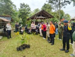 Aksi Nyata Cegah Longsor, Polsek Cikoneng dan Brimob Polda Jabar Hijaukan Gunung Sawal