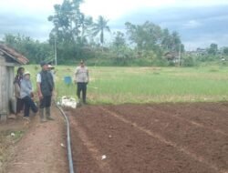 Ketahanan Pangan Nasional: Polsek Kawali Kawal Kesiapan Tanam Jagung Hibrida di Gunung Putri