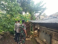 Pohon Picung Hantam Rumah Warga, Personel Polsek Kawali Langsung Terjang Lokasi