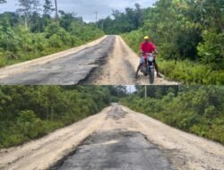 Warga Keluhkan Jalan Rusak di Numfor, Kejati Papua Diminta Segera Turun Lapangan