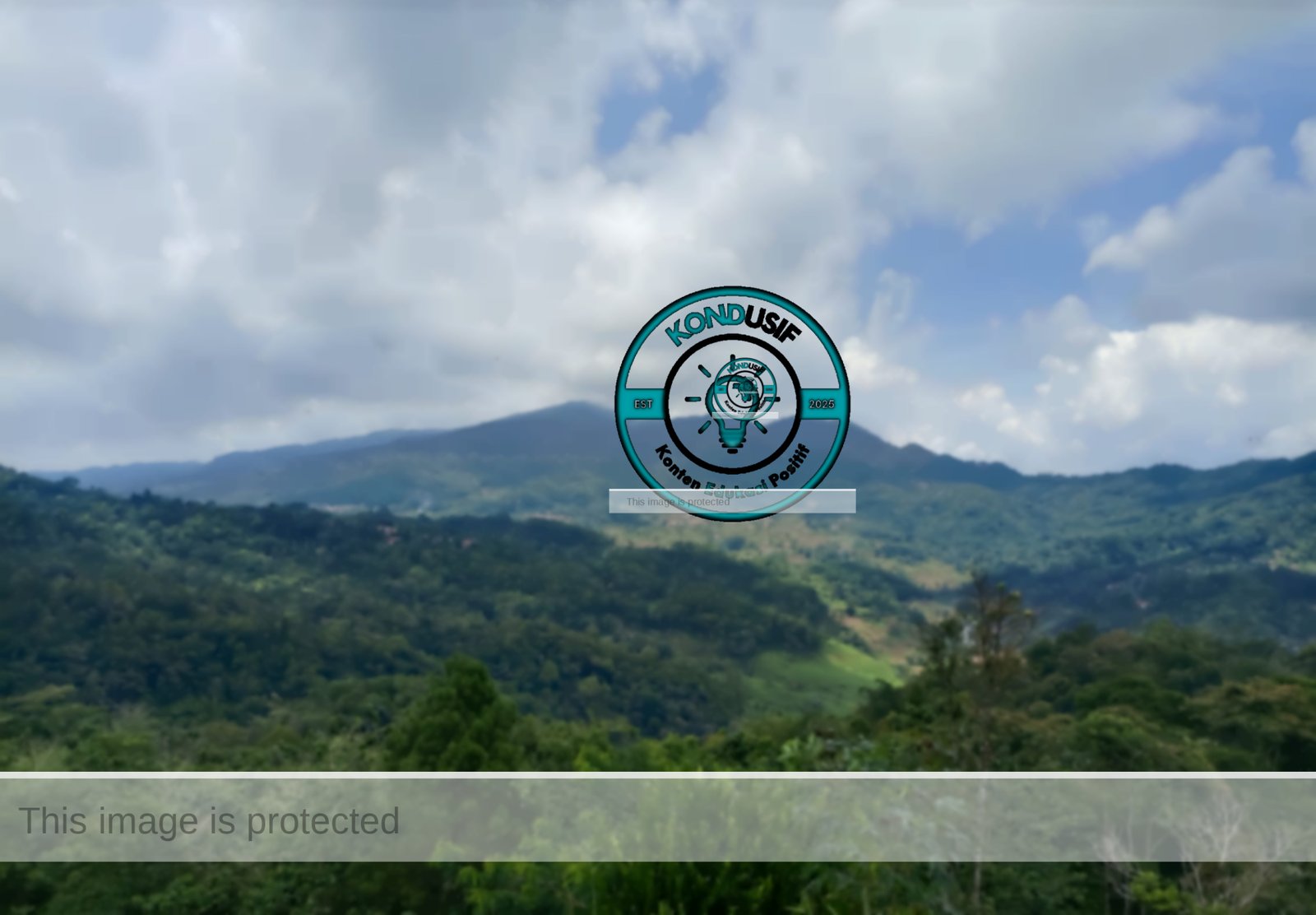 Foto: Obyek wisata Puncak Pinus Kertajaya, Ciamis, dok: Kondusif.com