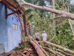 Polri Siaga Bencana, Polsek Sukadana Polres Ciamis Tanggap Evakuasi Pohon Tumbang di Salakaria