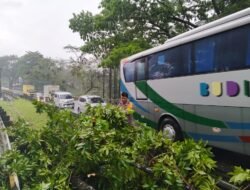 Gerak Cepat Polsek Cikoneng Evakuasi Pohon Tumbang di Jalur Nasional Ciamis