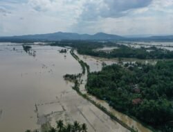 Lumbung Padi Ciamis Terancam: Warga Desak KDM Turun Tangan Atasi Banjir